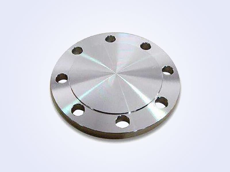Welding Neck Flange - 带颈对焊法兰 (10)