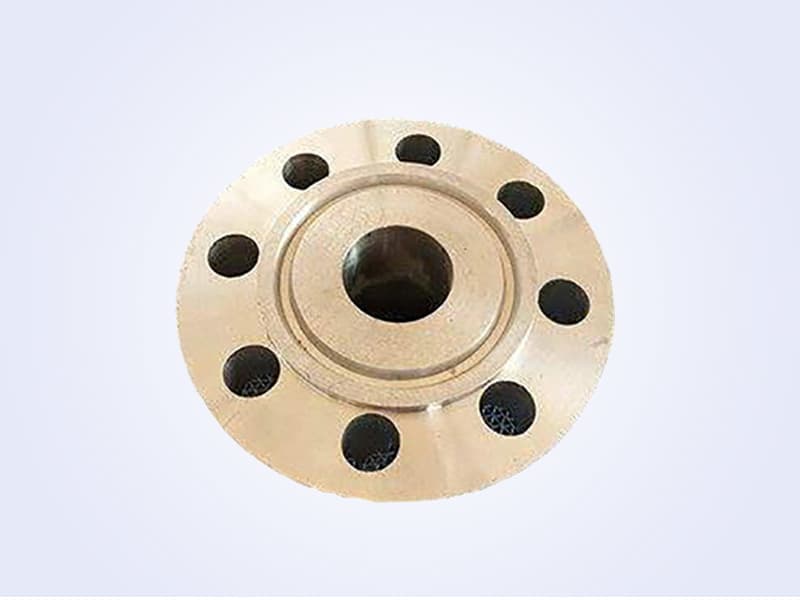 Welding Neck Flange - 带颈对焊法兰 (9)